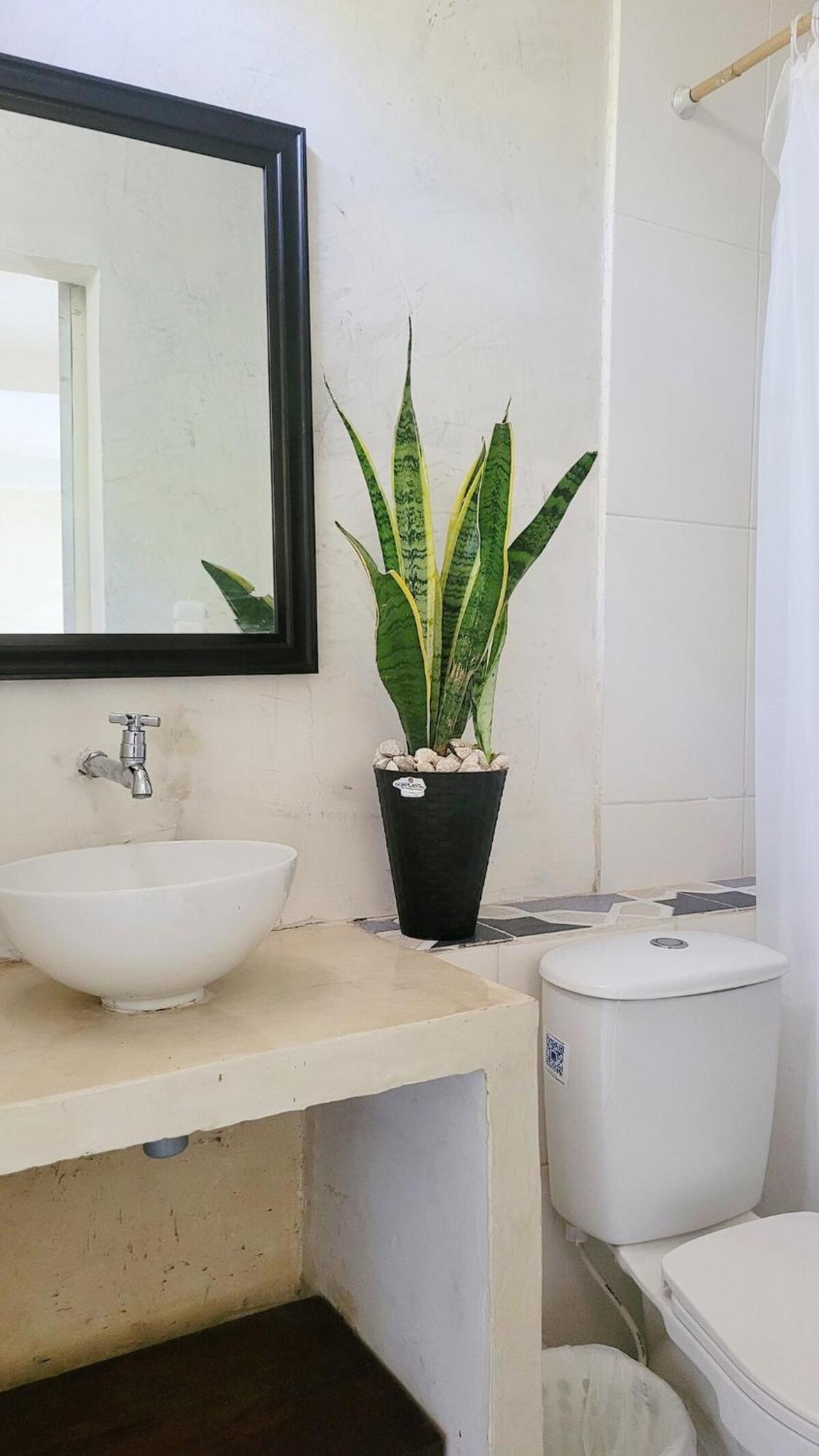 Apartamento In The Mountains *